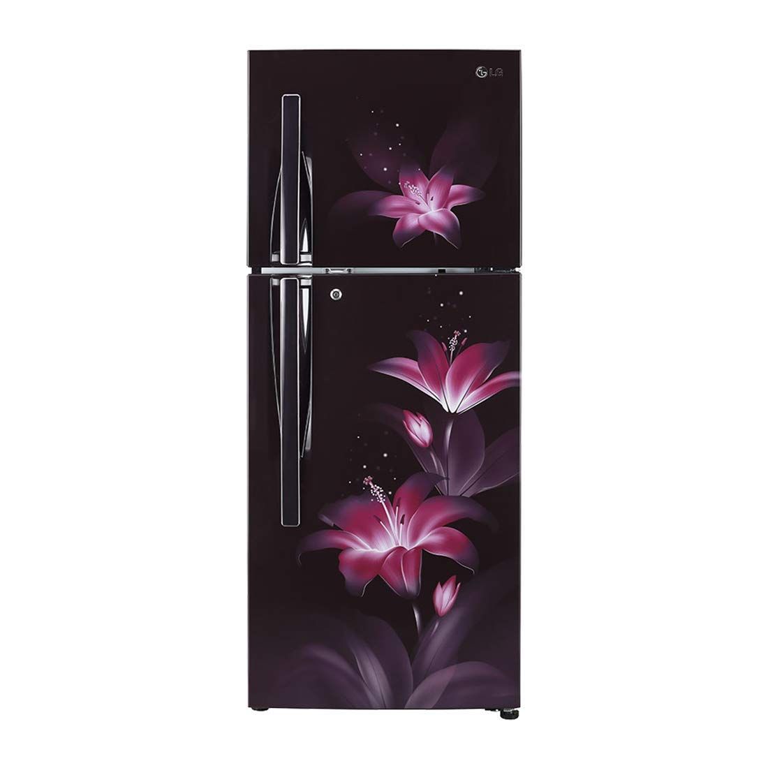GL-T302RPGU 284 Ltr Double Door Refrigerator