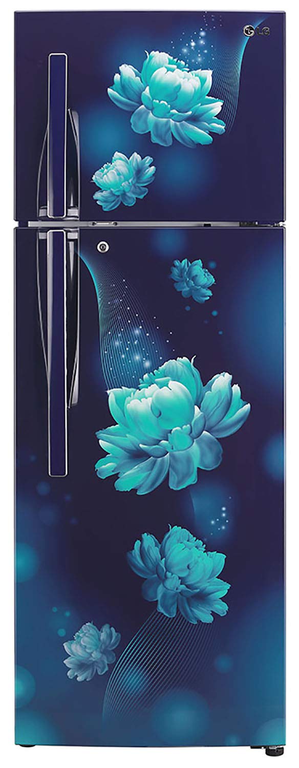 GL-T322RBCY 308 Ltr Double Door Refrigerator