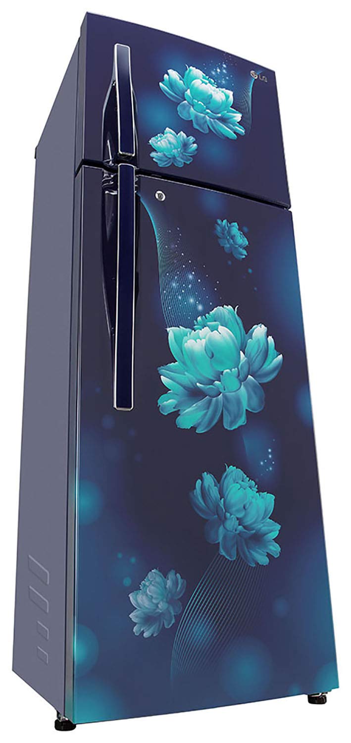 GL-T322RBCY 308 Ltr Double Door Refrigerator