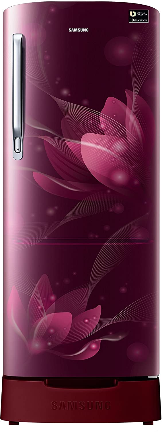 RR22N287YR8 212 Ltr Single Door Refrigerator