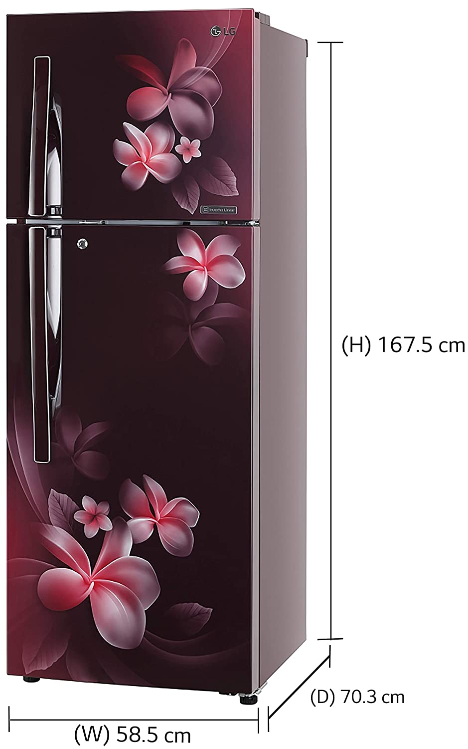GL-T322RSPN 308 Ltr Double Door Refrigerator
