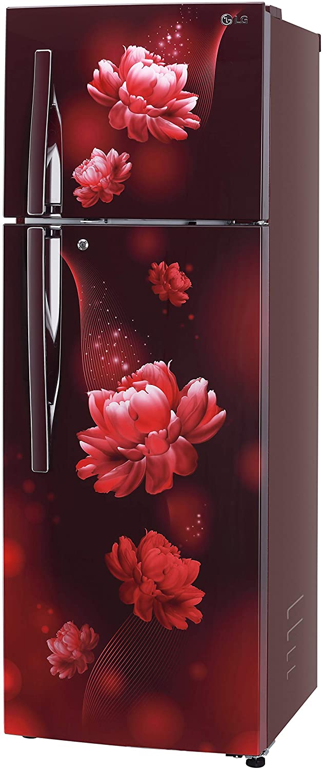 GL-T322RSCY 308 Ltr Double Door Refrigerator