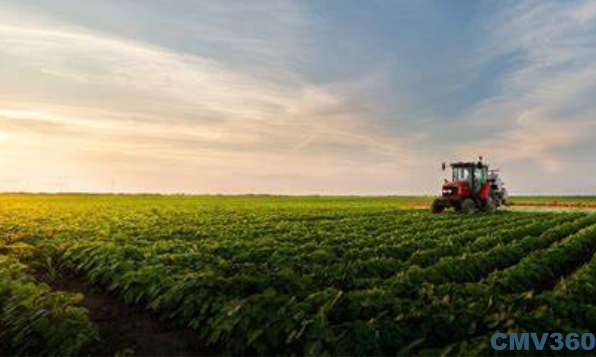 Cash Crop Farming A Key Driver of Rural Prosperity in India.png