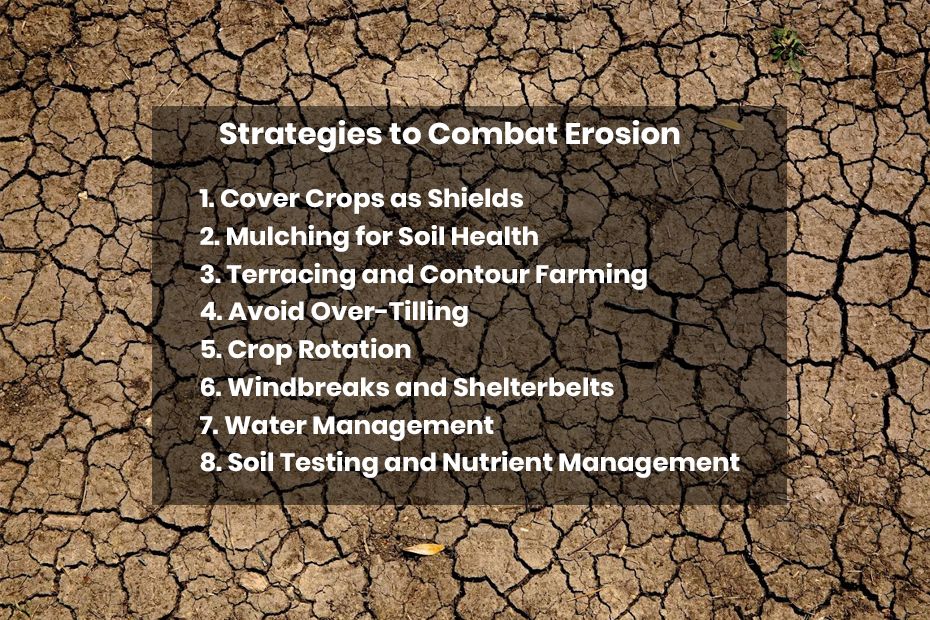 Cover Crops as Shields.jpg