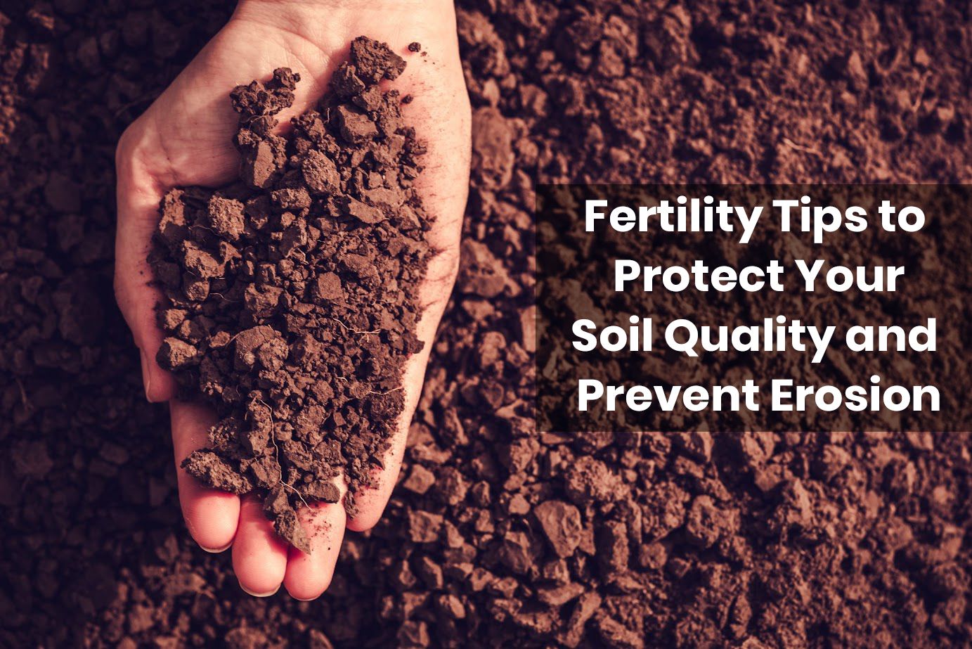 Fertility Tips to Protect.jpg