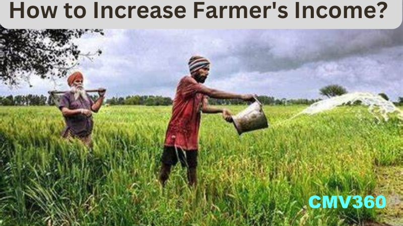 How to Increase Farmer Income Five strategies to increase farmers' income. (1).png