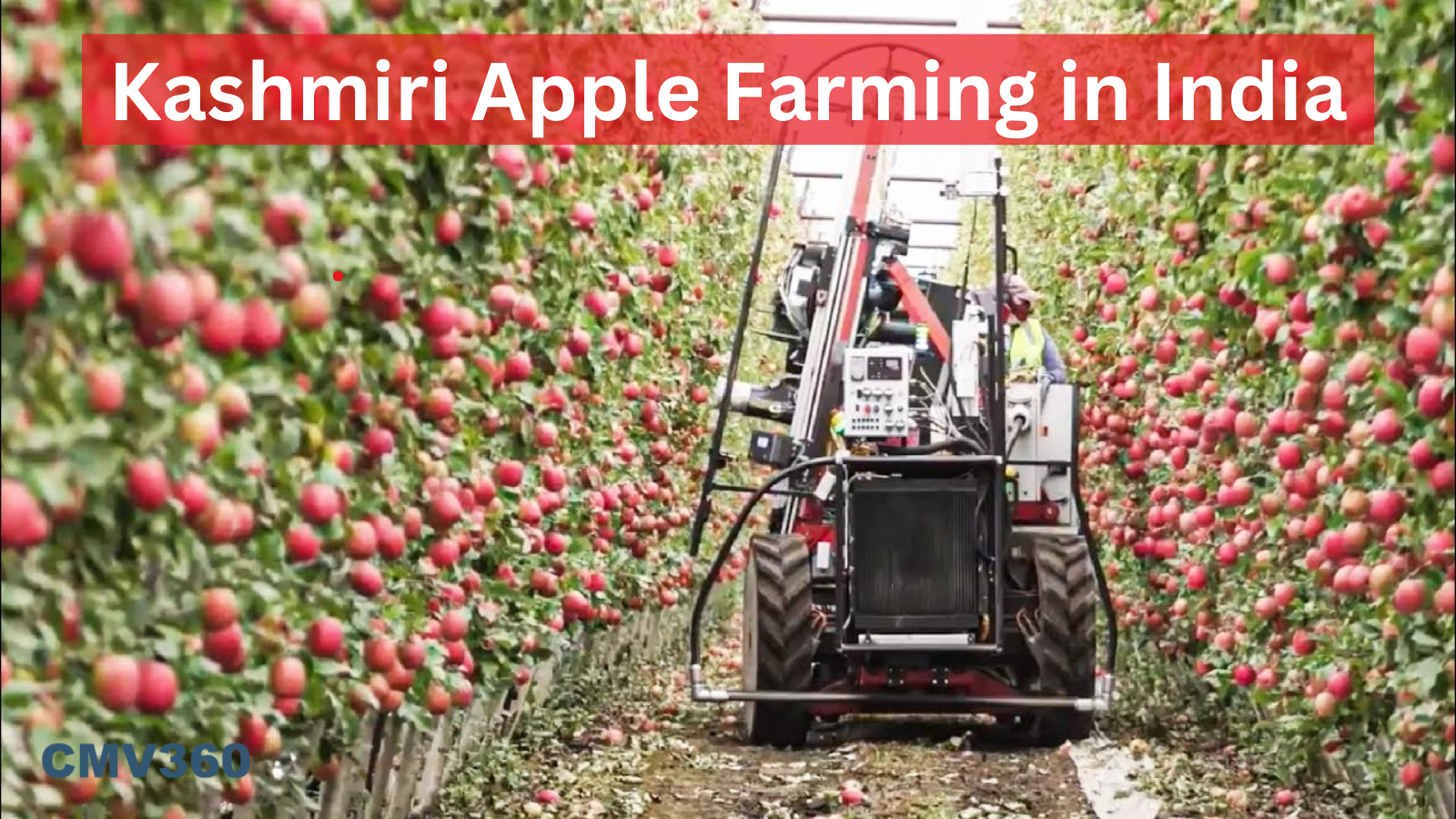 Kashmiri Apple Farming in India.png