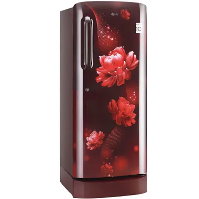 GL-D241ASCY 224L 4 Star Direct Cool Single Door Refrigerator