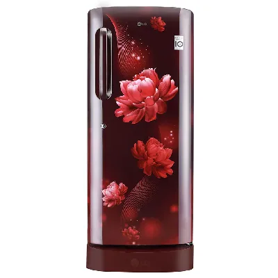 GL-D241ASCY 224L 4 Star Direct Cool Single Door Refrigerator