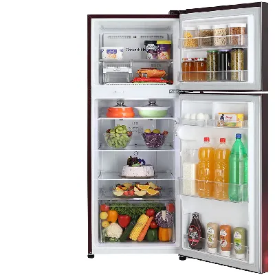 GL-S292RSCY 240L 2 Star Frost-Free Double Door Refrigerator