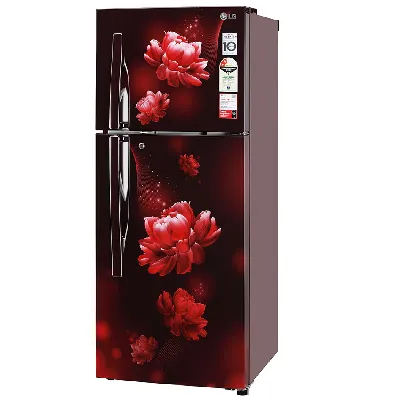 GL-S292RSCY 240L 2 Star Frost-Free Double Door Refrigerator