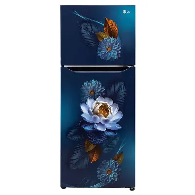 GL-S292SBWY 240L 2 Star Double Door Refrigerator