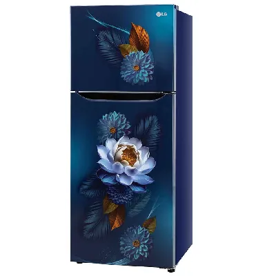 GL-S292SBWY 240L 2 Star Double Door Refrigerator
