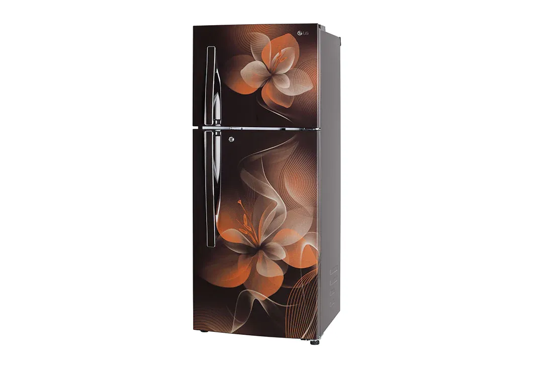 GL-T292RHDY 260 Ltr Double Door Refrigerator