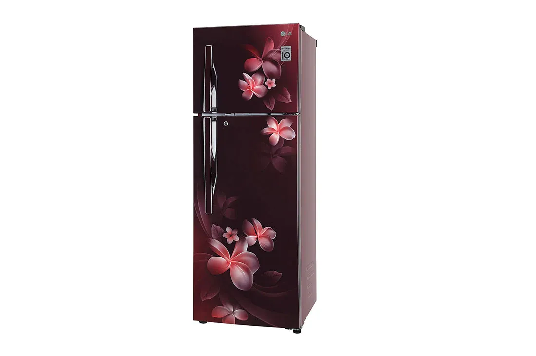 GL-T322SRGY 308 Ltr Double Door Refrigerator