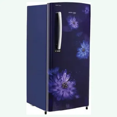RDC220A/W0DBETMH000GD 185 L 5 Star Direct Cool Single Door Refrigerator