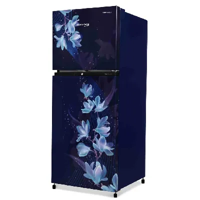 RFF270C/WPNBR0I0000GD 230 L 3 Star Double Door Frost Free Refrigerator