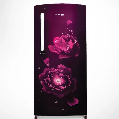 RDC220B60/FPEXXXXSG / S60200 200L 4 Star Single Door Refrigerator