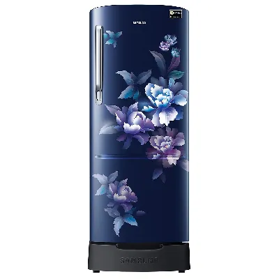 RR20C1824HV 183 L Stylish Grandé Design Single Door Refrigerator