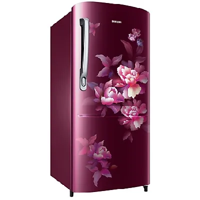 RR20C2724HN 183 L Stylish Grandé Design Single Door Refrigerator