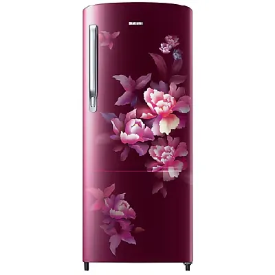 RR20C2724HN 183 L Stylish Grandé Design Single Door Refrigerator