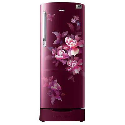RR20D2825HN 183 L Stylish Grandé Design Single Door Refrigerator