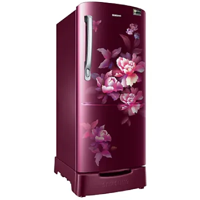 RR20D2825HN 183 L Stylish Grandé Design Single Door Refrigerator