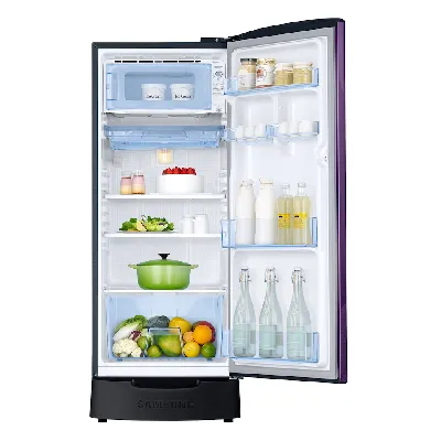 RR20F1823WB 183 L Single Door Refrigerator