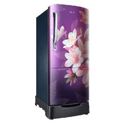 RR20F1823WB 183 L Single Door Refrigerator