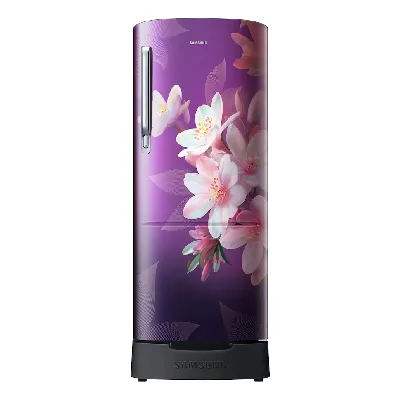 RR20F1823WB 183 L Single Door Refrigerator