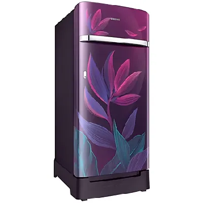 RR23D2F349R 215 L Digi-Touch Cool™ Single Door Refrigerator