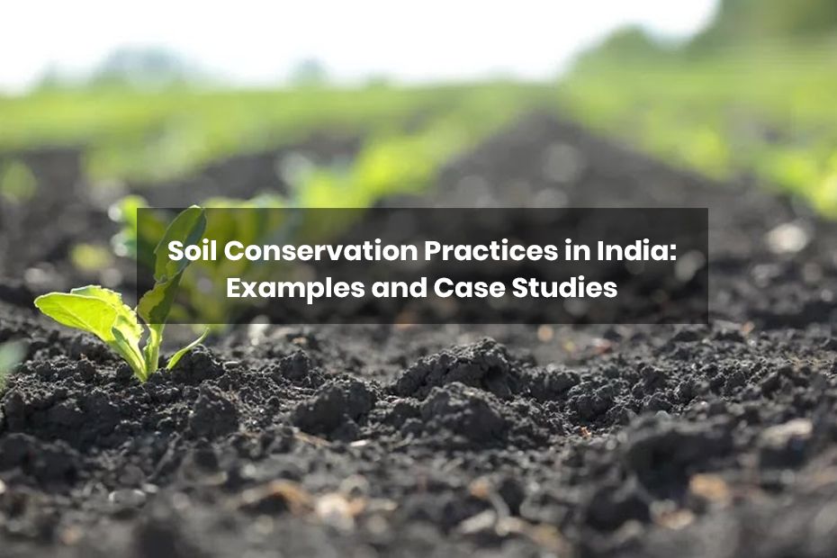 Soil Conservation Practices in India.jpg