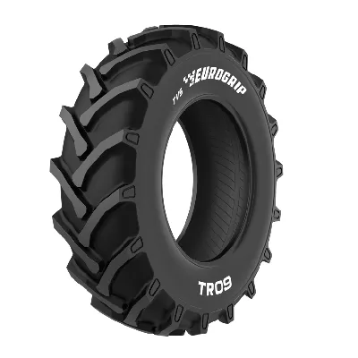 TVS Eurogrip TR 09 12.4-28