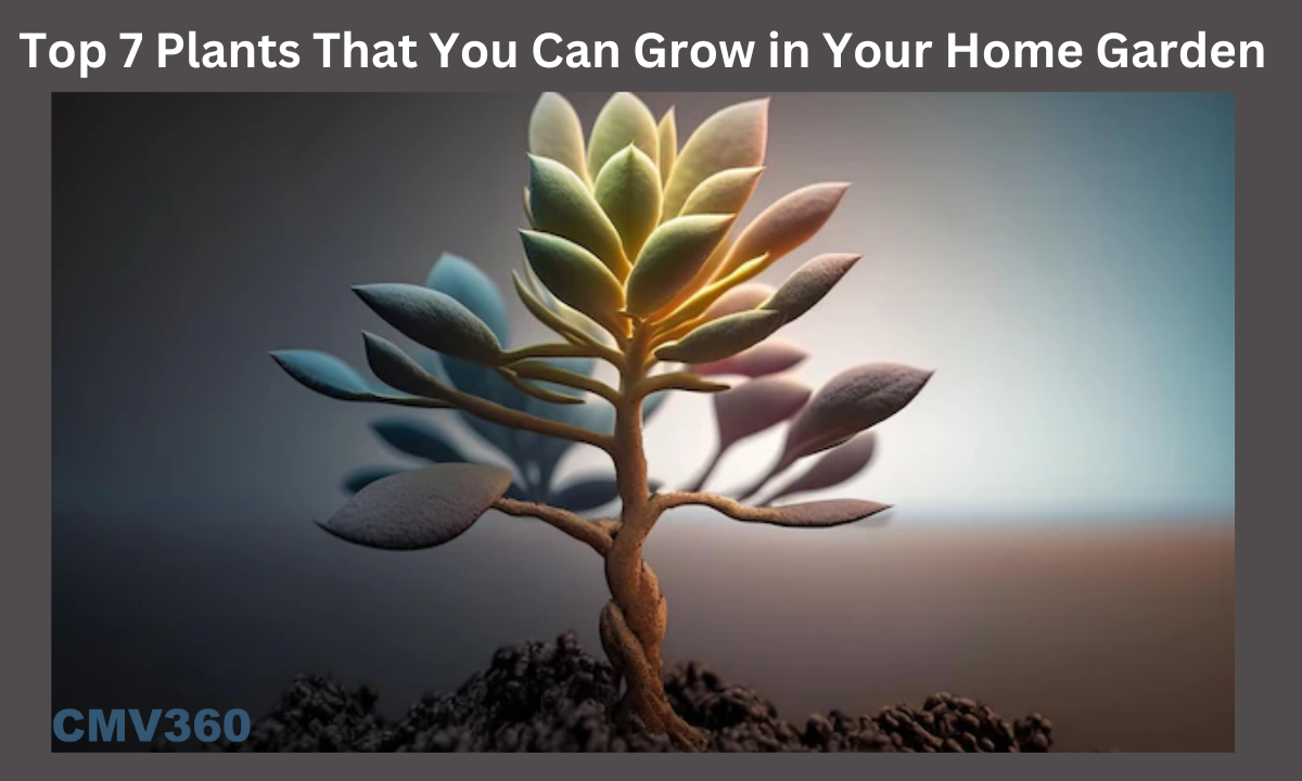 plants you can grow in your home garden