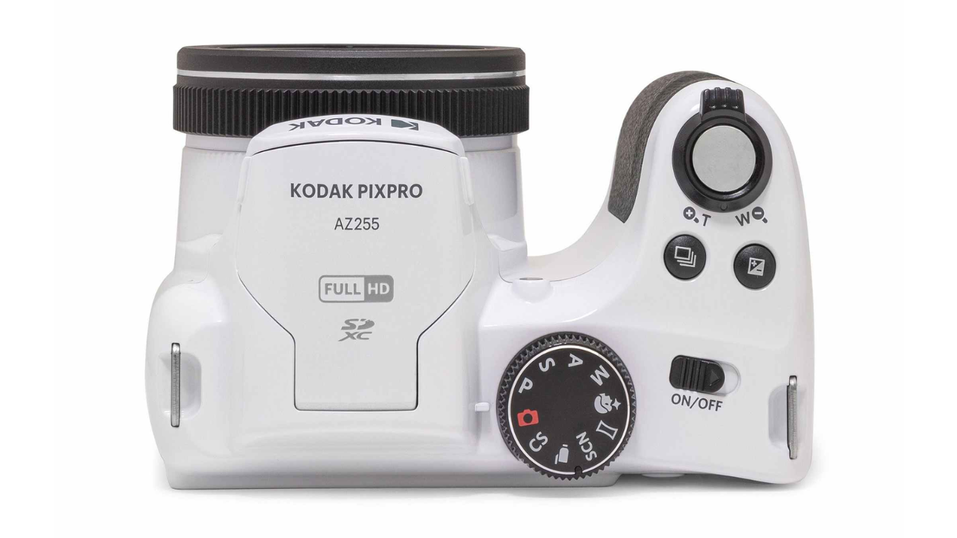 Untitled design (1).png