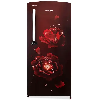 RDC220A / W0FWETM000UGD 185 L 5 Star Single Door DC Refrigerator