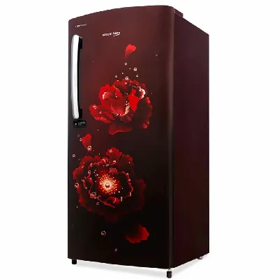 RDC220A / W0FWETM000UGD 185 L 5 Star Single Door DC Refrigerator