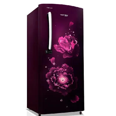 RDC220B / W0VWE0M000UGD 185 L 4 Star Single Door DC Refrigerator