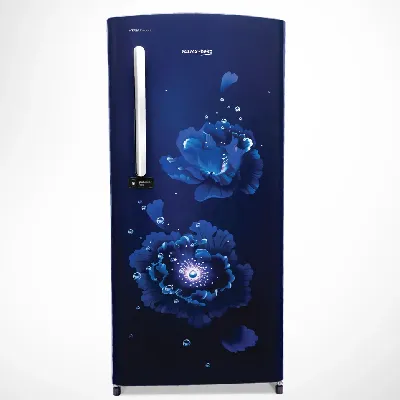 RDC220B 185 L 4 Star Single Door DC Refrigerator