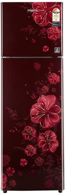 NEO SP305 PRM 3S 292 Ltr Double Door Refrigerator