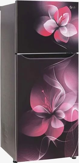 GL-N292DPDY 260 Ltr Double Door Refrigerator