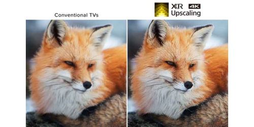 4k upscaling.jpg 4k upscaling.jpg