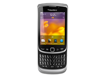 Torch 9860