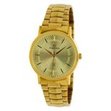 29250CMGY Analog Watch - For Men