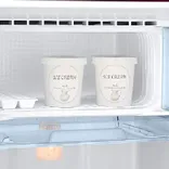 RR20D2825HN 183 L Stylish Grandé Design Single Door Refrigerator