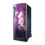 RR20F1823WB 183 L Single Door Refrigerator