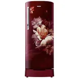 RR21C2G25RZ 189 L Horizontal Curve Design Single Door Refrigerator