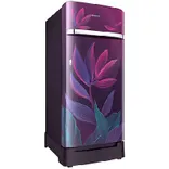 RR23A2F3X9R 225 L Digi-Touch Cool™ Single Door Refrigerator