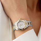 Aquaracer Date WBD1320.BB0320