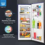 RDC220B 185 L 4 Star Direct Cool Single Door Refrigerator